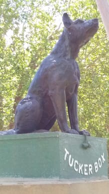 Dog on Tuckerbox Gundagai - Dog on Tuckerbox Gundagai -