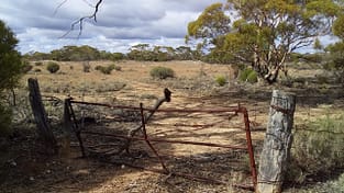 Swan Reach South Australia Swan Reach South Australia Travel